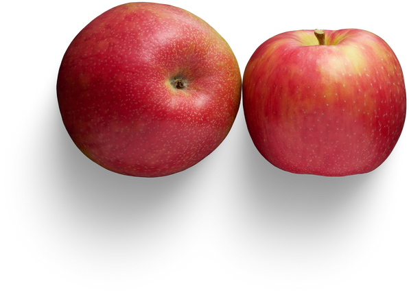 Premium isolated images & templates