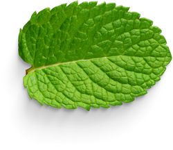 Premium isolated images & templates